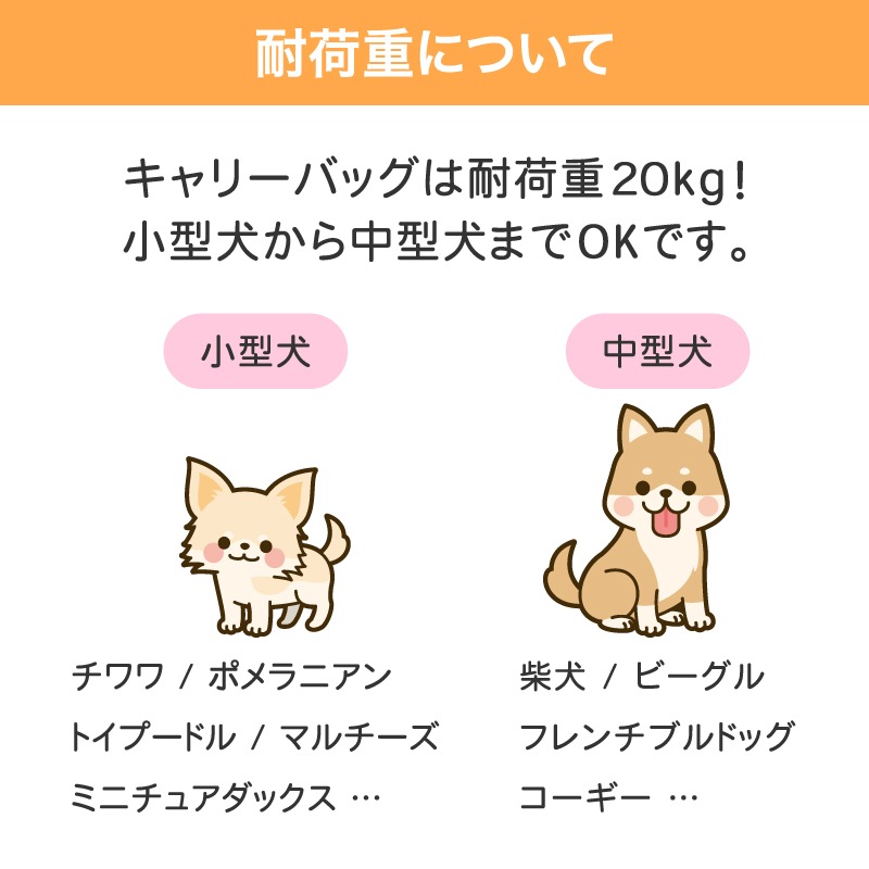 EcoCa ペットキャリーバッグ