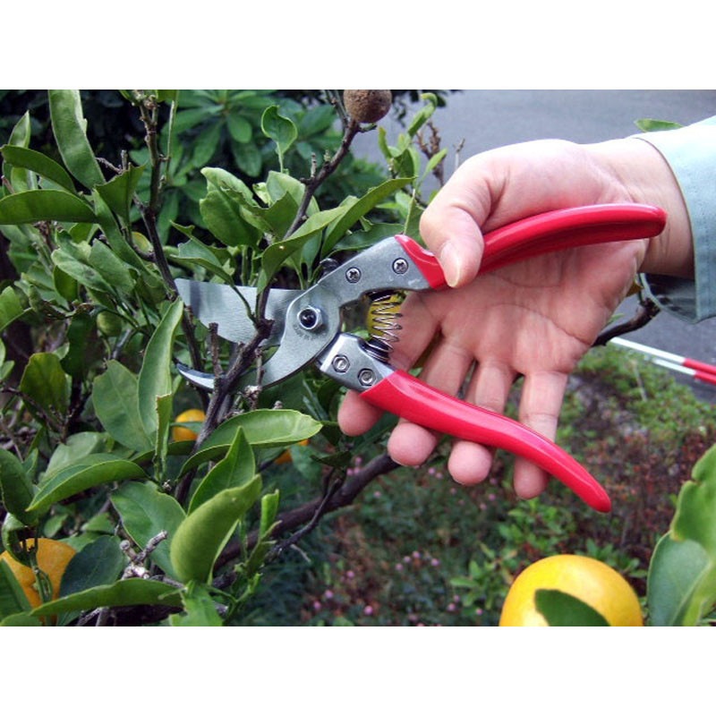 アルス 剪定鋏 VS-9Z