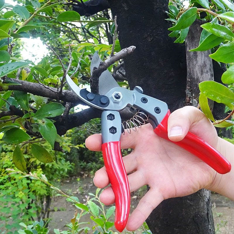 ステン針金切鋏 三木章 165mm 高級 剪定鋏 ニシケル金止 160mm FG 強力