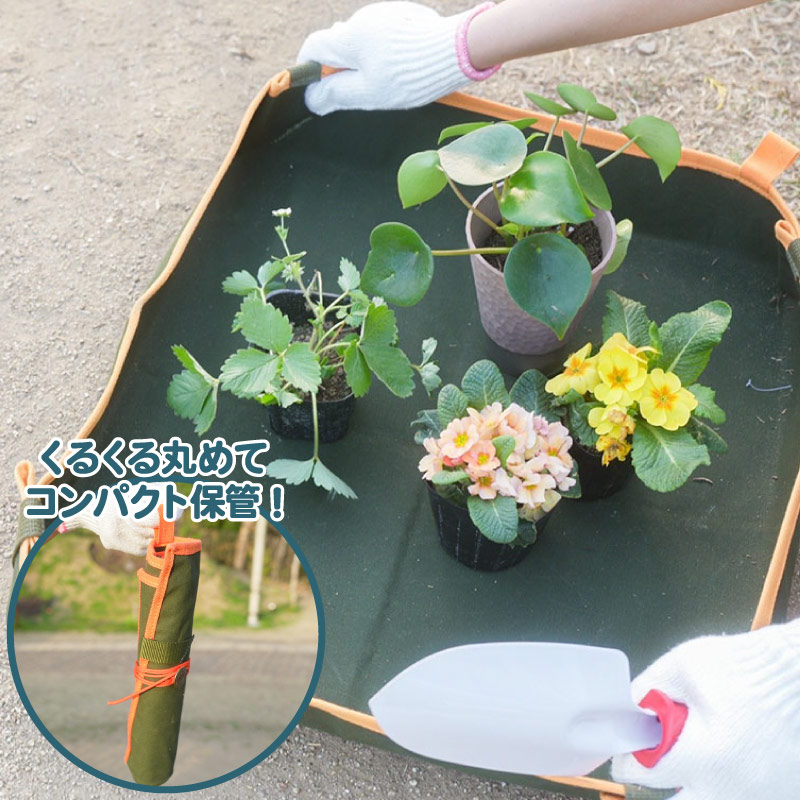 カンボウプラス グリーンアップマイスター 園芸トレーシート M