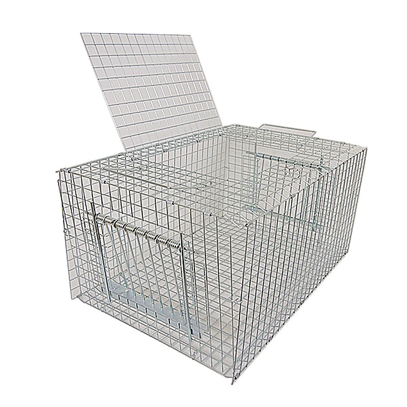 栄ヒルズ バードトラップ RF-1 E-01 メッキ仕上げ