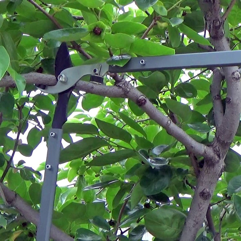 FG 強力太枝切鋏 S621-RG ｜金象印の公式通販サイト【金象本舗】