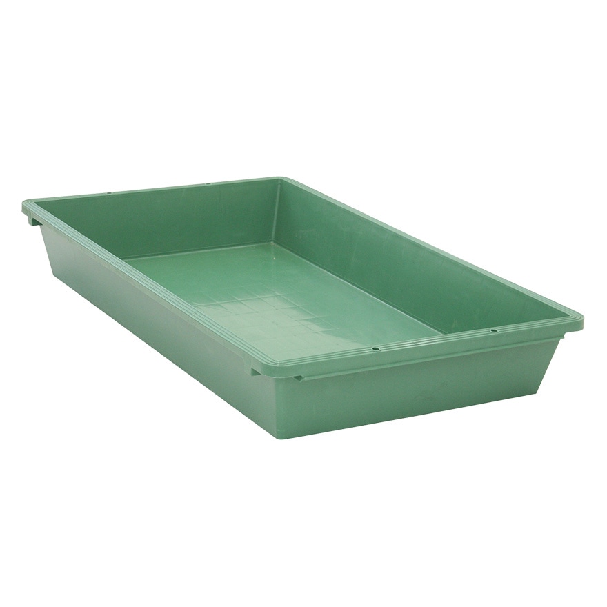 リス プラ舟 #220 グリーン ｜金象印の公式通販サイト【金象本舗】