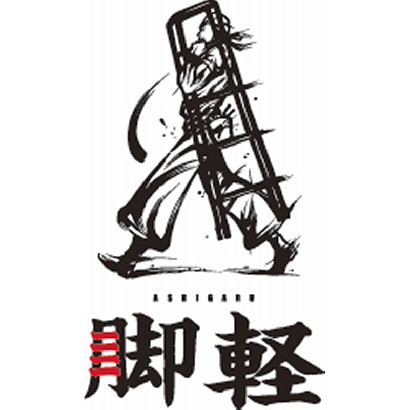 長谷川工業 脚立 脚軽 RZ-06c 17754