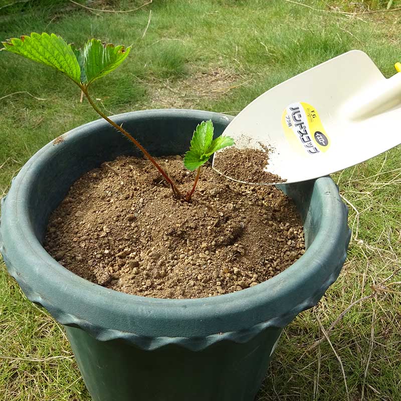 FG ハンドスコップ プラ柄 イエロー ｜金象印の公式通販サイト【金象本舗】