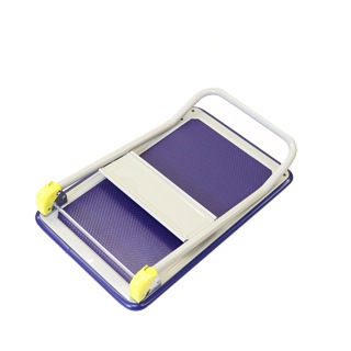 【100個限定！ノベルティプレゼント】 金象 キャリーラック DXL小