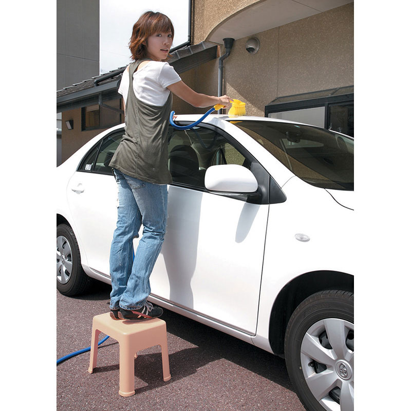 小原産業 プラステップ 一体型踏み台 幅38×高さ29cm ベージュ ST329