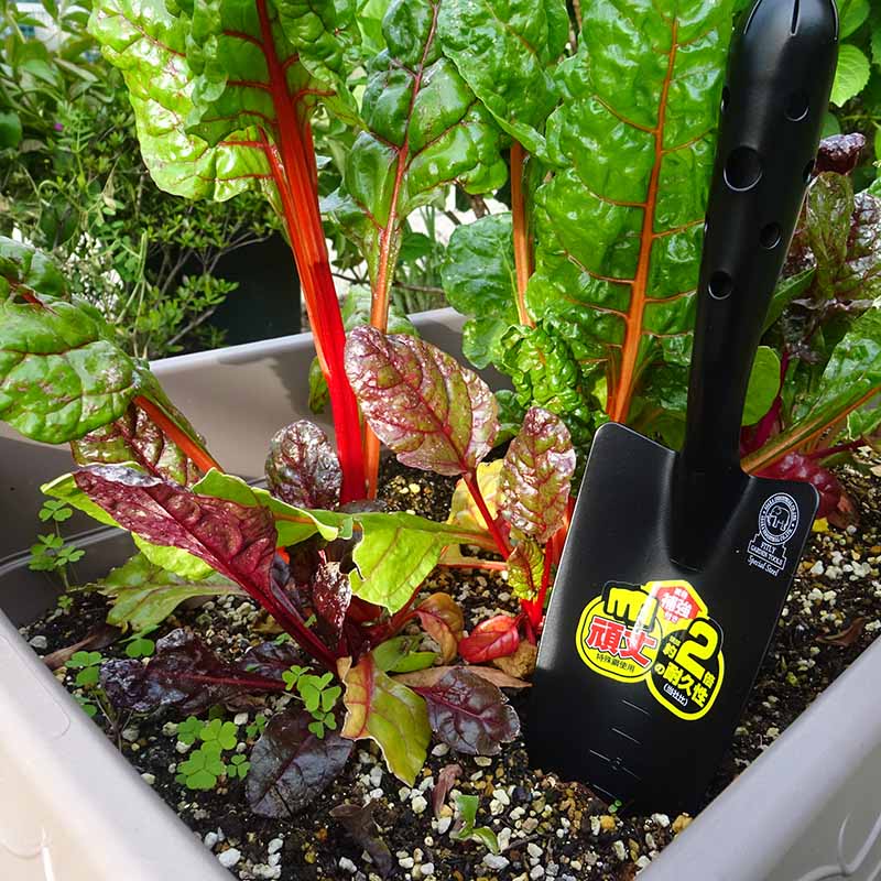 FG 強力移植ゴテ 補強付き ｜金象印の公式通販サイト【金象本舗】