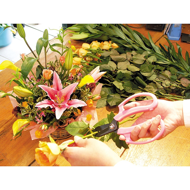 アルス 業務用花鋏 フルール ピンク FP-17-P ｜金象印の公式通販サイト