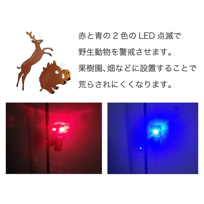 ミツギロン アニマルパンチ・ホルダーセット EG-79