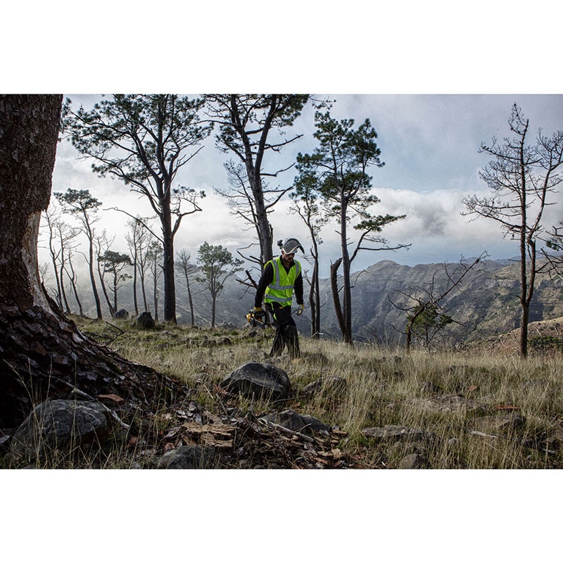 DEWALT 18V チェーンソー 25cm DCM565P1 デウォルト GARDENING TOOLS