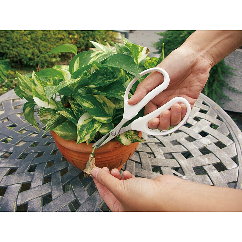 (まとめ) アルスコーポレーション クラフトチョキ(生花・アレンジメント用) 黄 FW330HY 1個 (×3) まとめ) アルスコーポレーション クラフトチョキ(生花 アレンジメント