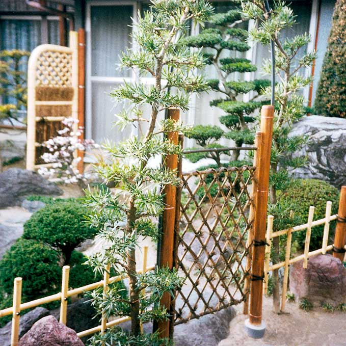 八ツ矢工業 虎竹枝折戸 56730 ｜金象印の公式通販サイト【金象本舗】