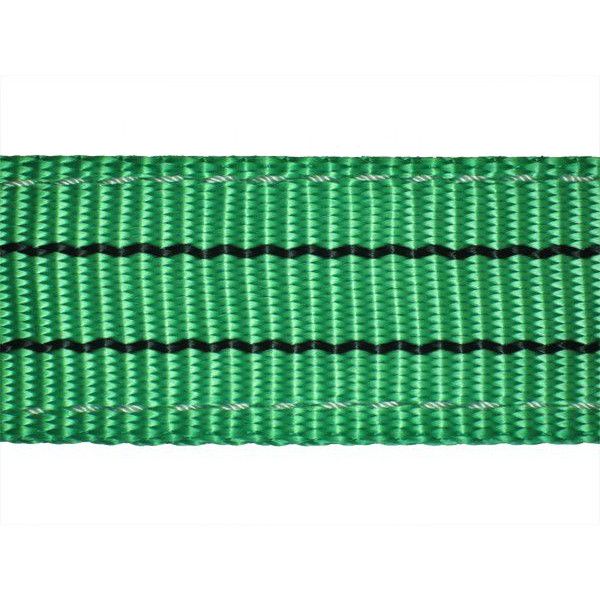 フリーク 65315 FREAK CEベルトスリングE型 使用荷重1600kg 幅50mm 長さ6m 吊具