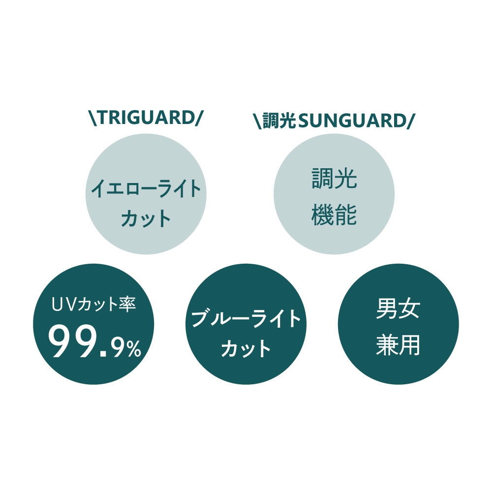 昼夜兼用 ネオコントラスト トライガード | その他 | 鯖江のサングラス