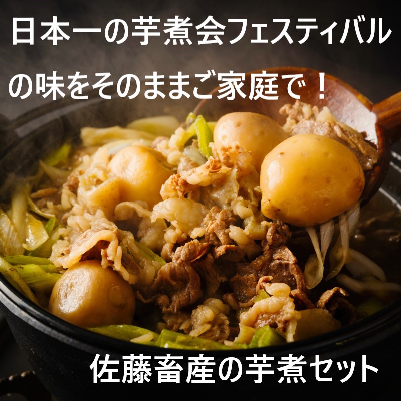 日本一の芋煮会フェスティバル特製芋煮セット（3～4人前）