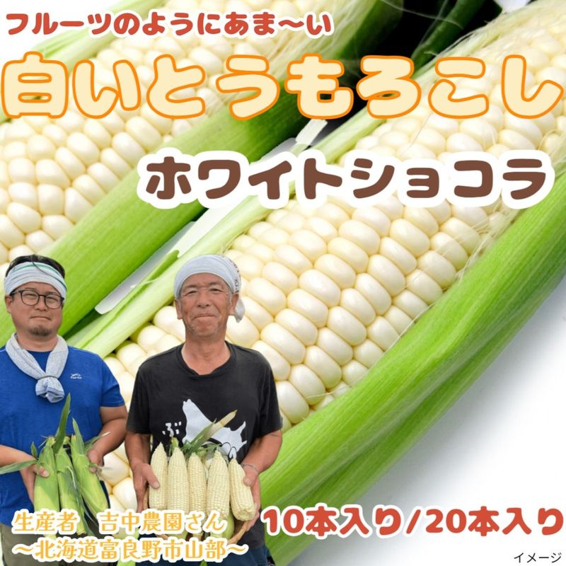 白いとうもろこし 「ホワイトショコラ」10本入り(約4～5kg)、20本入り(約8kg以上)【糖度20度前後！】北海道富良野市山部より朝採り直送