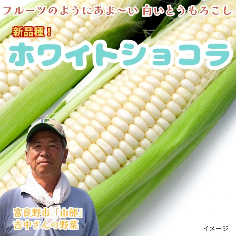 【糖度20度前後！】白いとうもろこし 「ホワイトショコラ」 10本入り(約4～5kg)、20本入り(約8kg以上)　北海道富良野市山部より朝採り直送