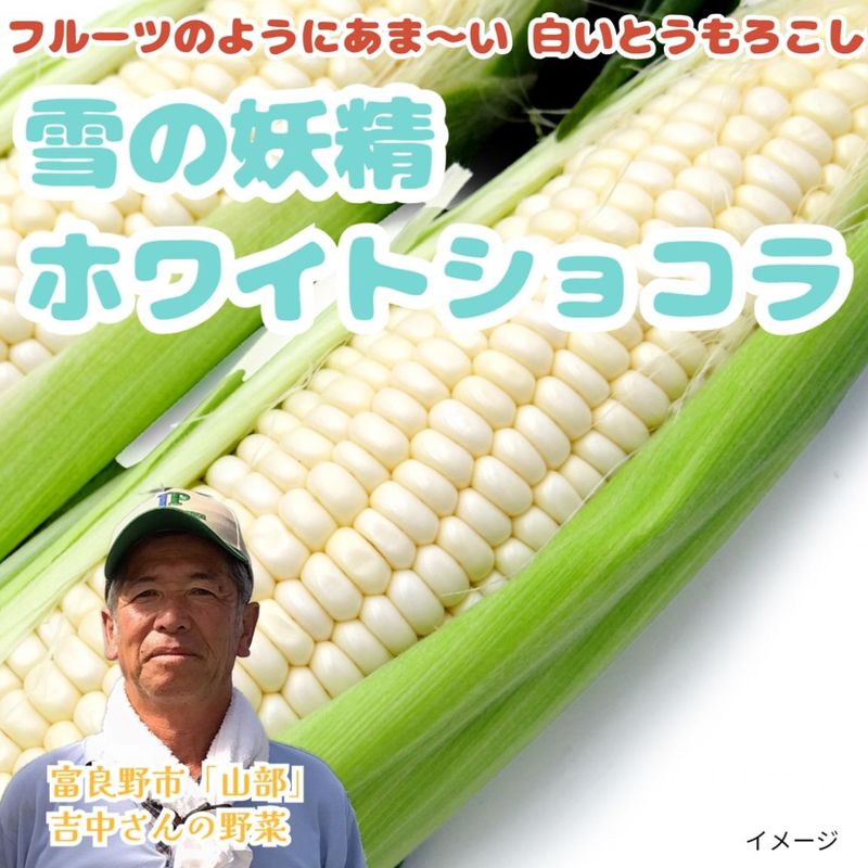 【糖度20度前後！】白いとうもろこし 「雪の妖精」「ホワイトショコラ」 10本入り(約4～5kg)、20本入り(約8kg以上)　北海道富良野市山部より朝採り直送