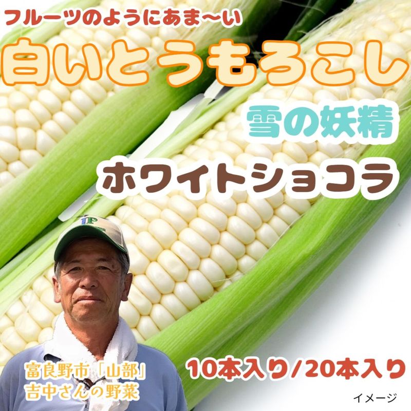 白いとうもろこし 「雪の妖精」「ホワイトショコラ」10本入り(約4～5kg)、20本入り(約8kg以上)【糖度20度前後！】北海道富良野市山部より朝採り直送