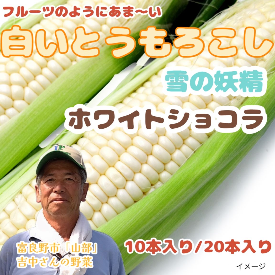 白いとうもろこし 「雪の妖精」「ホワイトショコラ」10本入り(約4～5kg)、20本入り(約8kg以上)【糖度20度前後！】北海道富良野市山部より朝採り直送