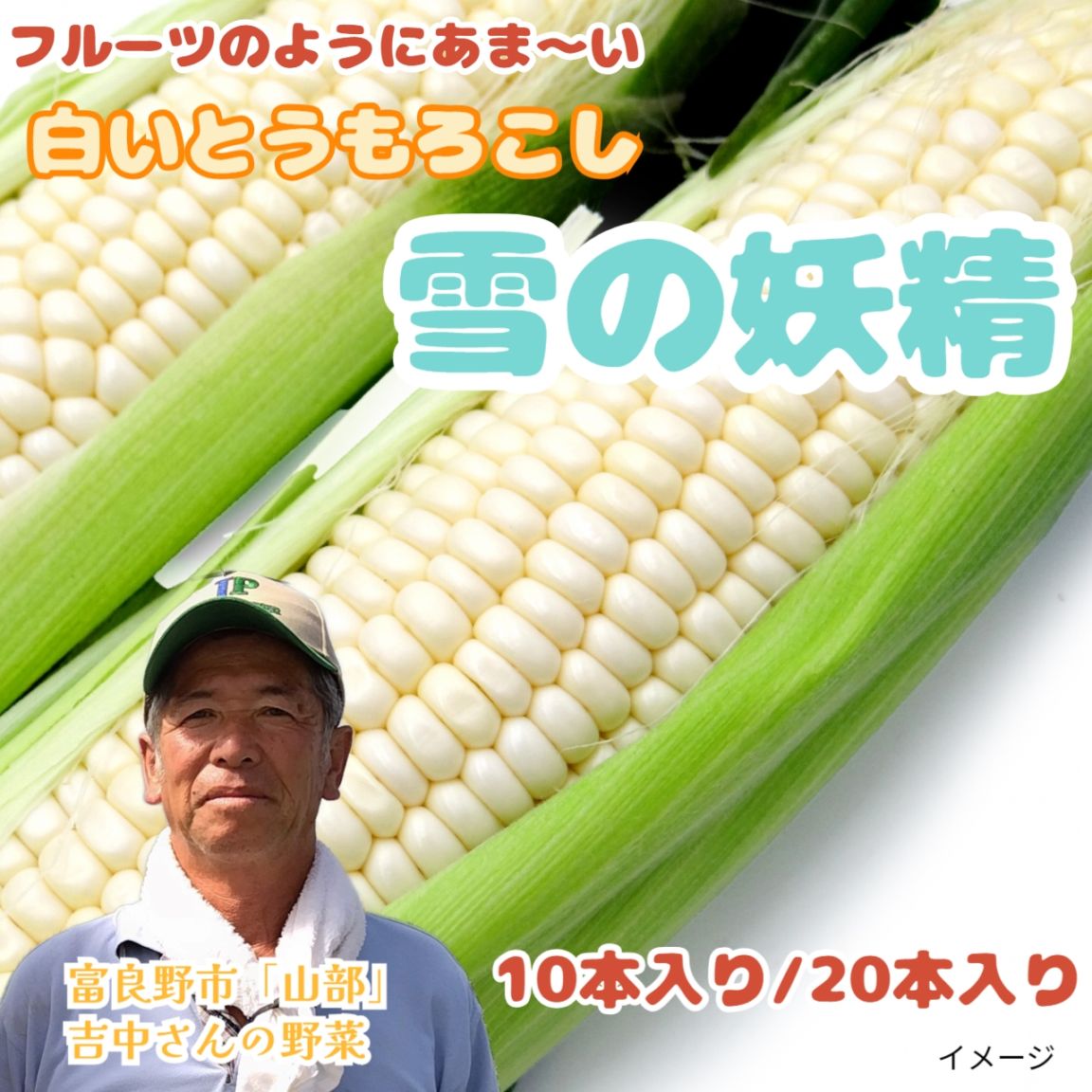 白いとうもろこし 「雪の妖精」10本入り(約4～5kg)、20本入り(約8kg