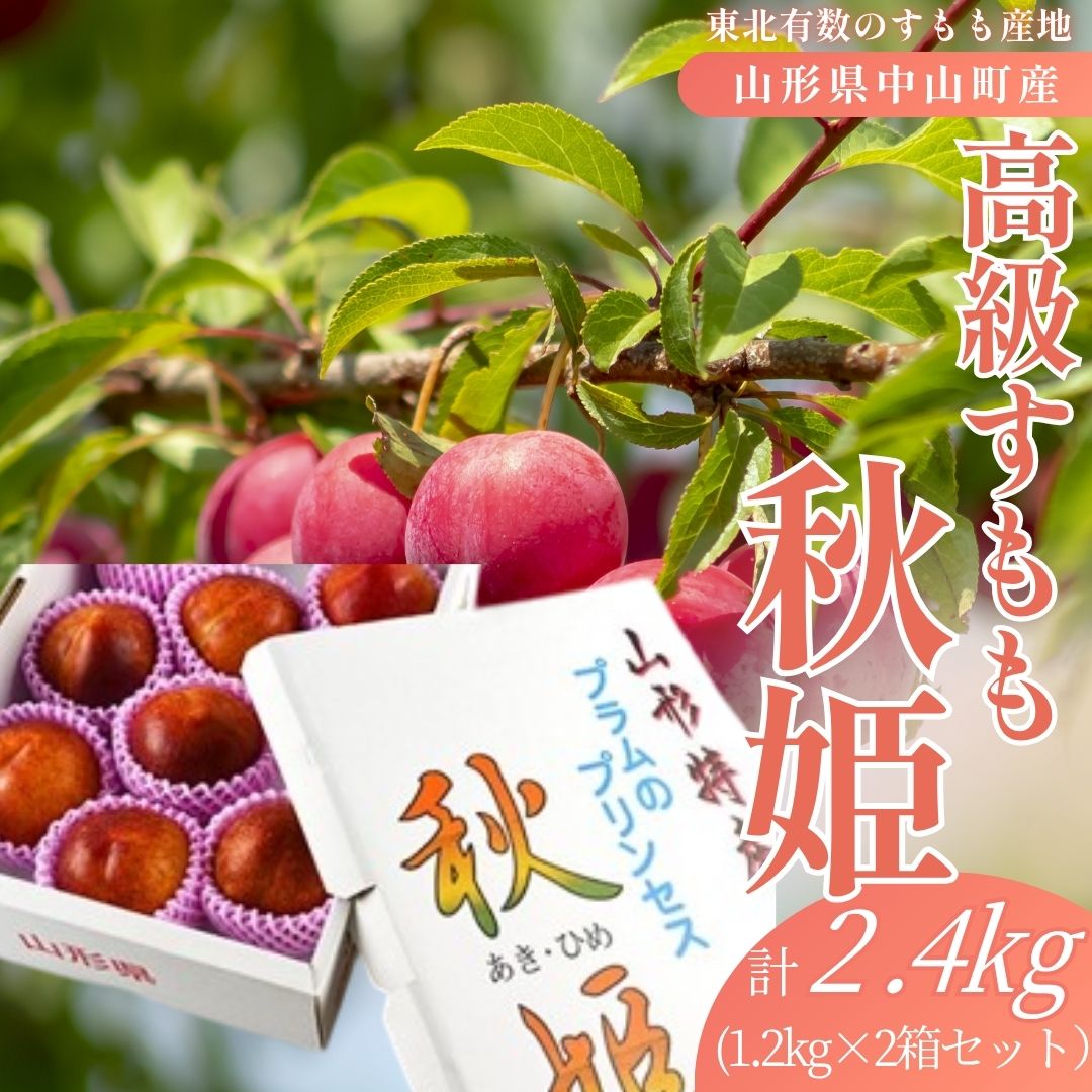 高級すもも 秋姫（あきひめ）計2.4kg （1.2kg2箱セット）山形県中山町産 プラムのプリンセス 