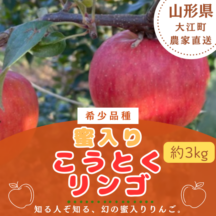 山形県大江町産「じゅわ～っと蜜入り」『こうとくリンゴ・秀以上 』約3kg（10～16玉入り）☆11/1～11/20頃出荷予定☆