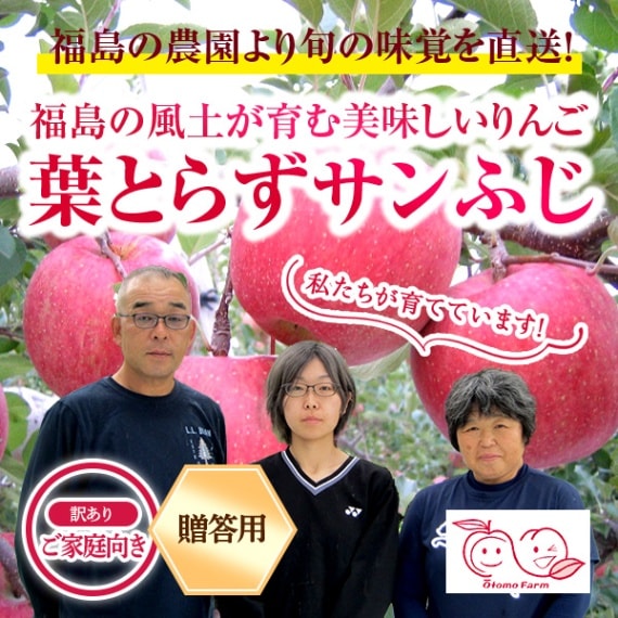 完売御礼！販売終了【送料込/計250ｾｯﾄ限定】福島県 大友農園から直送！葉とらずりんご「サンふじ」【訳あり・家庭向き3kg】と【贈答向き2kg,3kg,5kg】