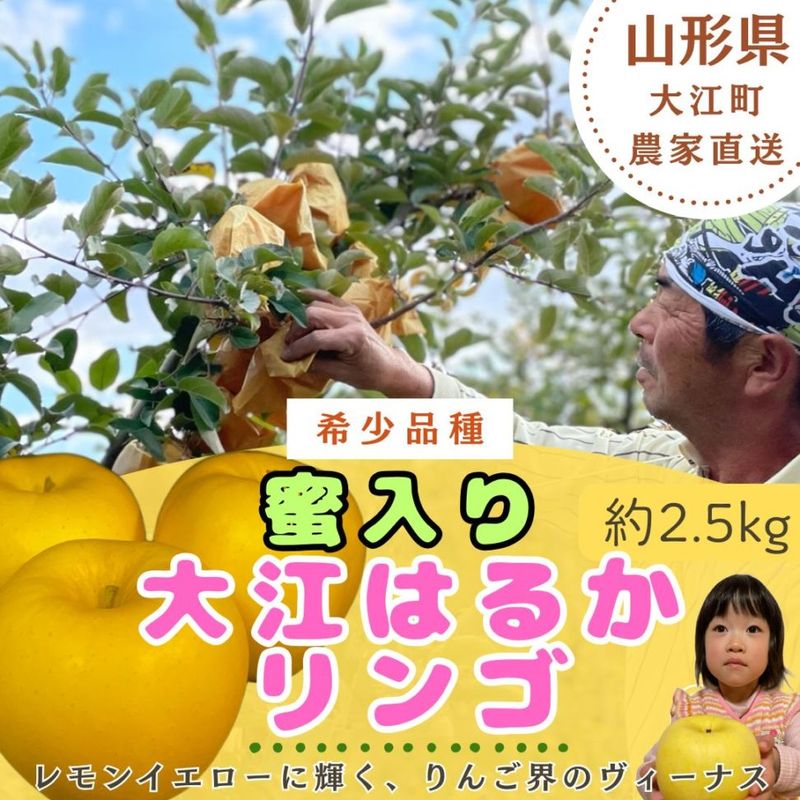 【予約販売】山形県から希少りんごをお届け！「蜜入り 大江はるかリンゴ」約2.5kg(6～9個) 