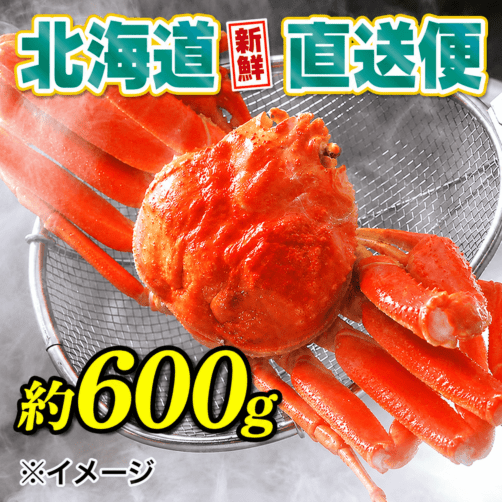 【北海道新鮮直送便】（送料はまとめ買いがお得！）活〆浜茹特大ズワイガニ1尾（約600g／1尾）