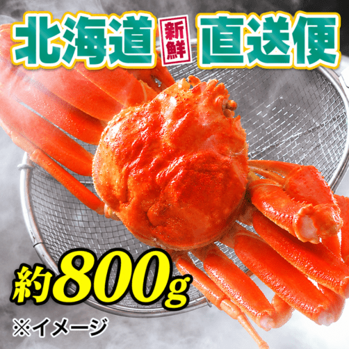 【北海道新鮮直送便】（送料はまとめ買いがお得！）活〆浜茹特大ズワイガニ1尾（約800g／1尾）