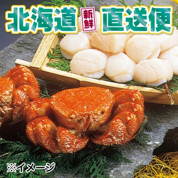 【北海道新鮮直送便】（送料はまとめ買いがお得！）毛ガニ・ホタテセット（毛ガニ300g×2尾・ホタテ（6S）200g）
