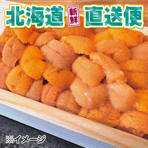 【北海道新鮮直送便】（送料はまとめ買いがお得！）冷凍うに（エゾバフンウニ／板うに1折100g）