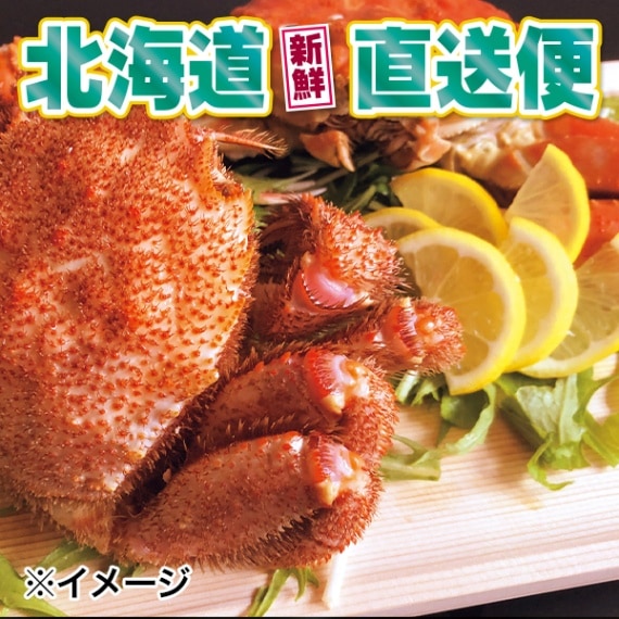 【北海道新鮮直送便】（送料はまとめ買いがお得！） 活〆（浜茹）毛ガニ・ズワイガニセット（毛ガニ1尾・ズワイガニ1尾／約1kg）