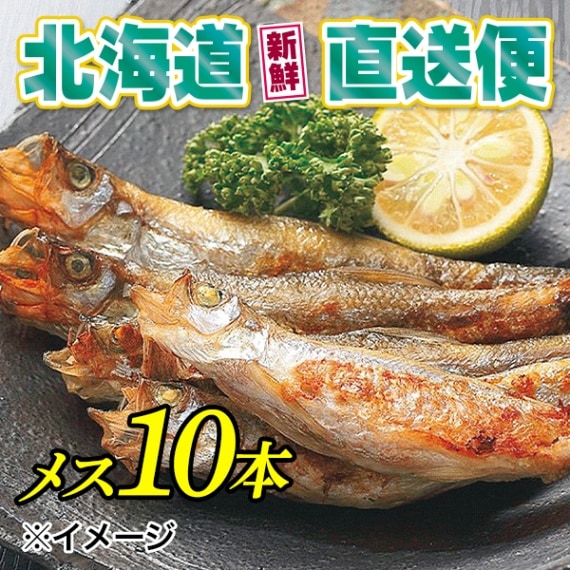 【北海道新鮮直送便】（送料はまとめ買いがお得！）子持ちししゃも（メス10本）