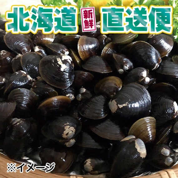 【北海道新鮮直送便】（送料はまとめ買いがお得！）網走湖品出ししじみ（500g×2袋／1kg）