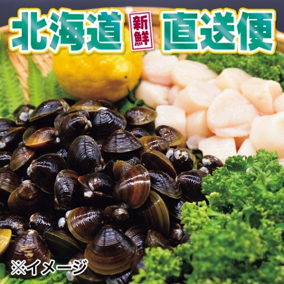 【北海道新鮮直送便】（送料はまとめ買いがお得！）無添加お刺身帆立と網走湖産砂出ししじみ（帆立（4S）500g＋しじみ500g／1kg）