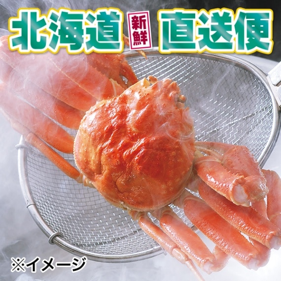 【北海道新鮮直送便】（送料はまとめ買いがお得！）活〆茹でズワイガニ（約600g／1尾）