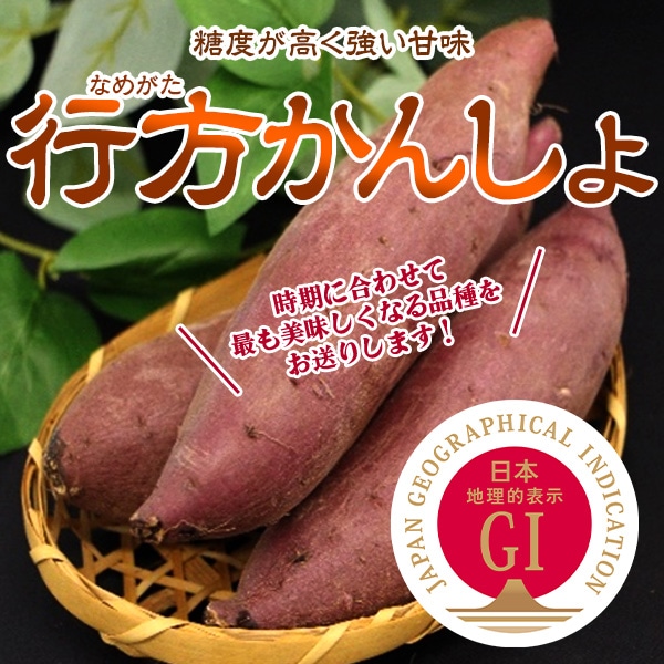 【送料込み】【信頼のGIマーク】収穫したての美味しさを！茨城「行方かんしょ」（さつまいも）産地直送　①5kg（1箱）　②10kg（5kg×2箱）