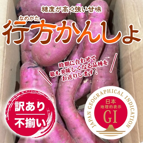 【送料込み】【信頼のGIマーク】【訳あり・不揃い】収穫したての美味しさを！茨城「行方かんしょ」（さつまいも）産地直送　①5kg（1箱）　②10kg（5kg×2箱）