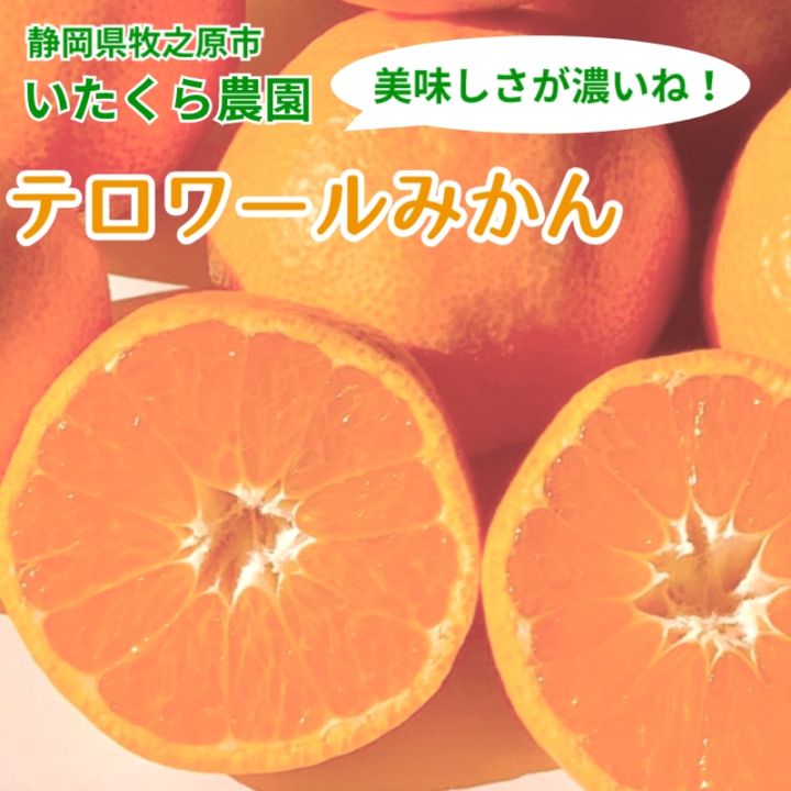 いたくら農園 テロワールみかん 果樹園直送 3kg(お試し用)/6kg