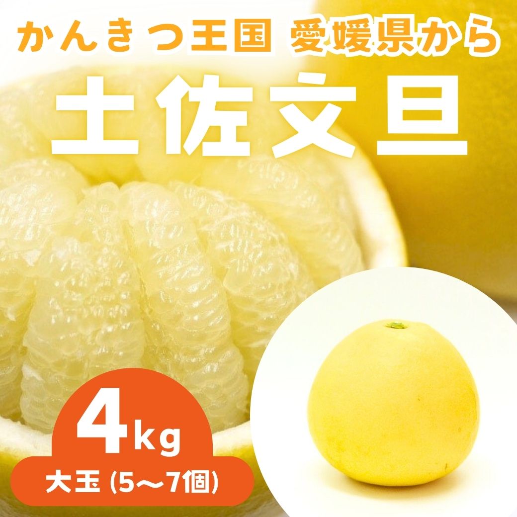 【送料込】愛媛県愛南町 農園からお届け！『土佐文旦』大玉 4ｋｇ (5～7個)