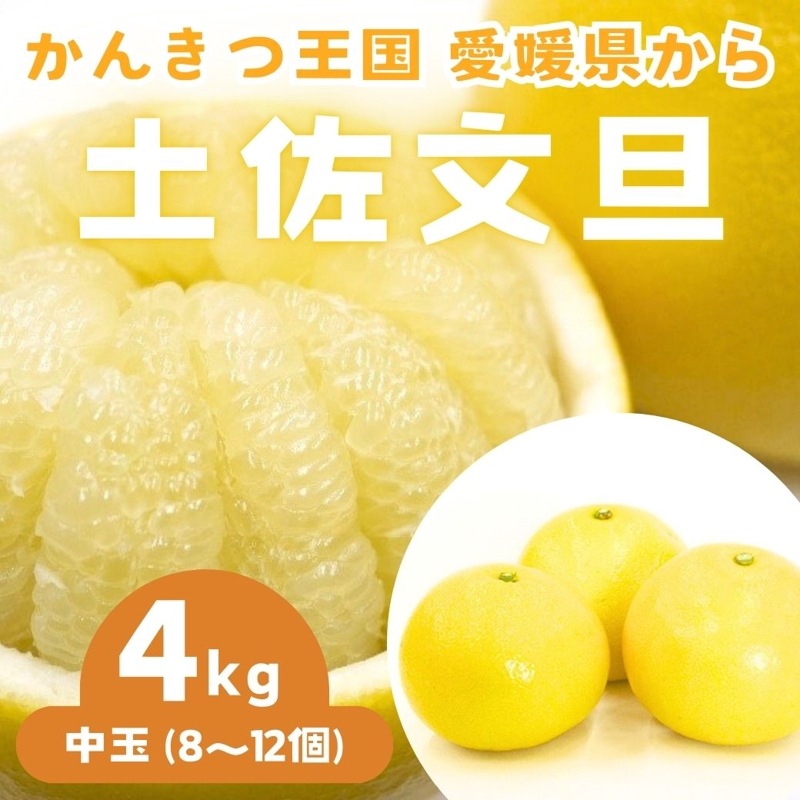 【送料込】愛媛県愛南町 農園からお届け！『土佐文旦』中玉 4ｋｇ (8～12個)