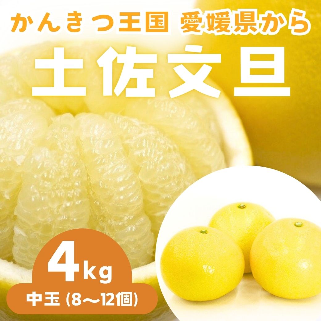 【送料込】愛媛県愛南町 農園からお届け！『土佐文旦』中玉 4ｋｇ (8～12個)