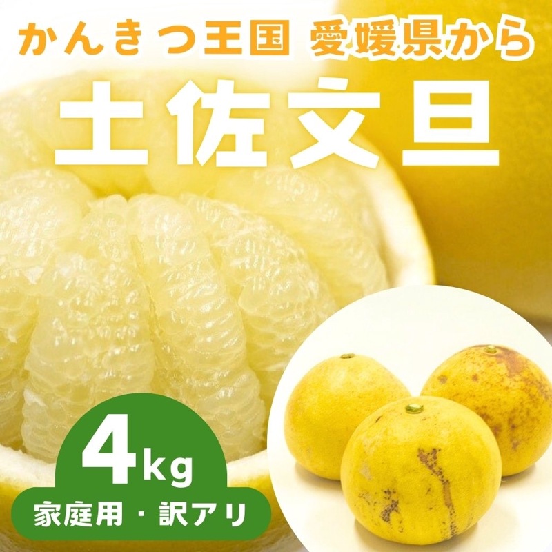 【送料込】愛媛県愛南町 農園から直送！『土佐文旦』ご家庭用・訳あり品 4ｋｇ (サイズ不揃い)