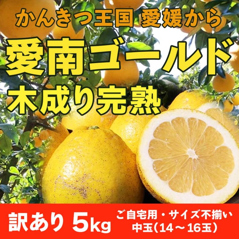 【送料込】愛媛県愛南町よりお届け！河内晩柑「愛南ゴールド 木成り完熟」 ご家庭用・訳あり品5kg(サイズ不揃い)