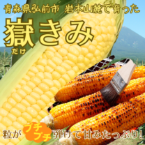 【送料込】『☆贅沢とうもろこし、感動の「嶽（だけ）きみ」6本／10本セット』メロンに匹敵する甘さで人気急上昇！ジューシーで甘さいっぱい！〈1本約300～400ｇ／冷蔵便で産地から配送〉