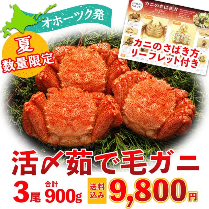 【送料込でこの価格！毛ガニ通は夏毛ガニ！】70セット限定【北海道網走から直送】身がたっぷり詰まった「活〆茹で・毛ガニ」3尾900gでびっくり価格！！