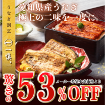 【送料込】驚きの53%OFF!!絶品☆愛知県産うなぎお得なお楽しみセット!!≪長蒲焼2尾＆旨塩焼き2尾≫